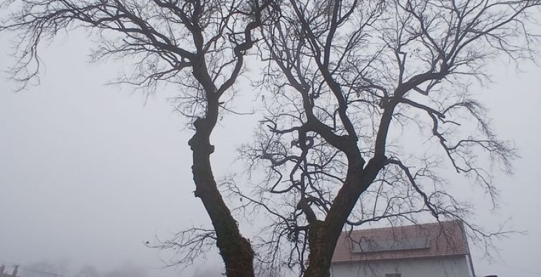 Kéttölgy